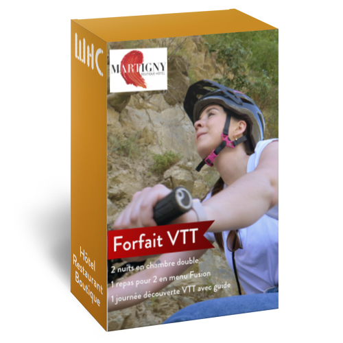 Box VTT Martigny